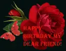 happy birthday my dear friend!