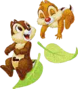 Chip n' dale