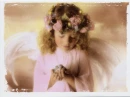 Angel holding a dove