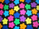 Colorful flowers