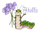 Hello