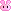 minigif bunny