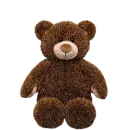 Teddy's