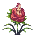 Flower Sprite