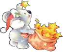 Koala stars