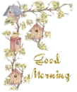Good Morning