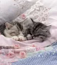 zzzzzz