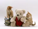 let's study