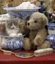 fluffy kitty