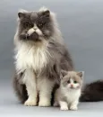 dad ane me