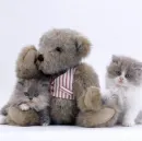 so cute