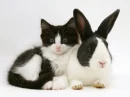 black&white