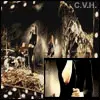 HIM -  Wicked Game ( Gothic  Version)