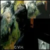 HIM -  Wicked Game