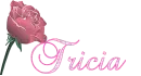 Tricia - Rainbow Rose