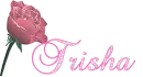 Trisha - Rainbow Rose