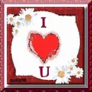 I LOVE YOU