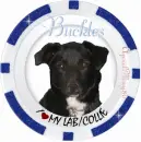 lab-collie blue poker chip buckles