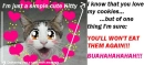 Nice Kitty