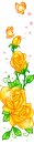yellow roses