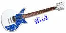 nick guitar
