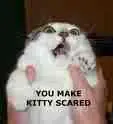 You make kitty scared