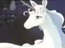 The last unicorn