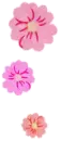 pink flowers