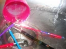 paint