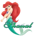 ariel shanal