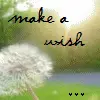 Make A Wish