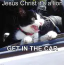lol