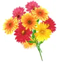 pretty flower!