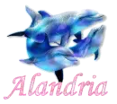 Alandria - Dolphins