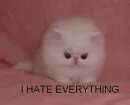 :O