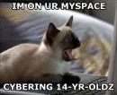 HAHAHA >:D