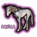 andera