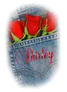 Shirley