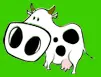 vaca