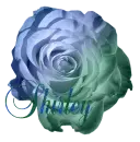 Shirley