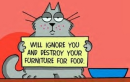 Will ignore