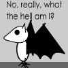 What am I??