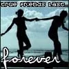 forever friends