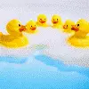 duckies!
