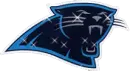 Carolina Panthers glitter