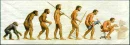 evolution of man
