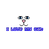I love my cat