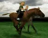 horse ride