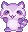 raccoon