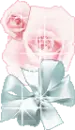 PINK ROSE